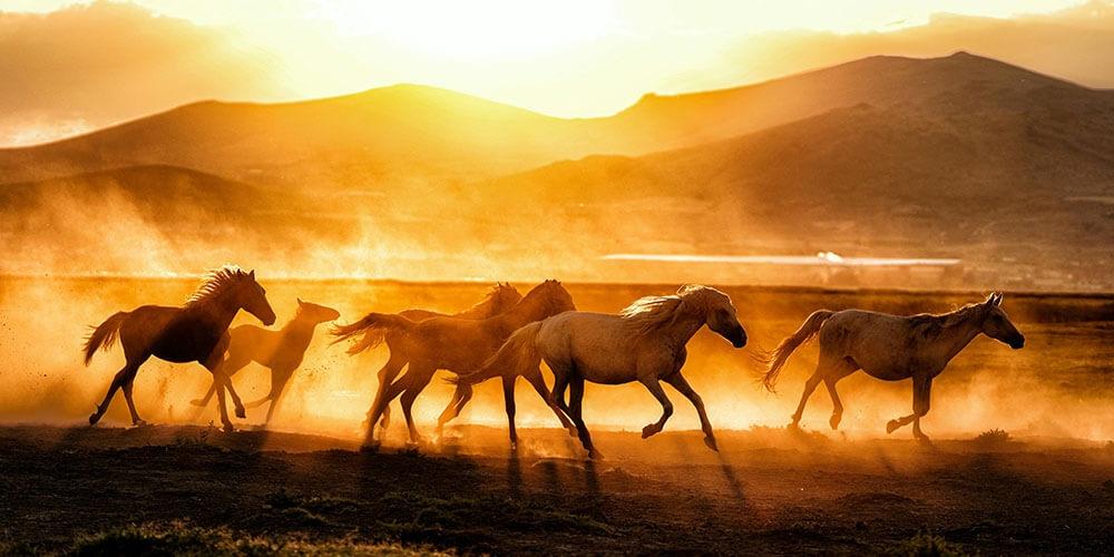 OUTDOOR EĞİTİM / ETKİNLİK