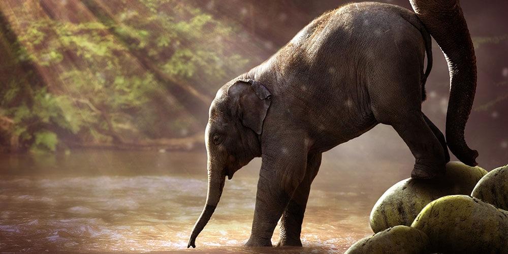 Yaşayarak Öğrenme Programları | Deneyimsel Eğitim Yaklaşımı