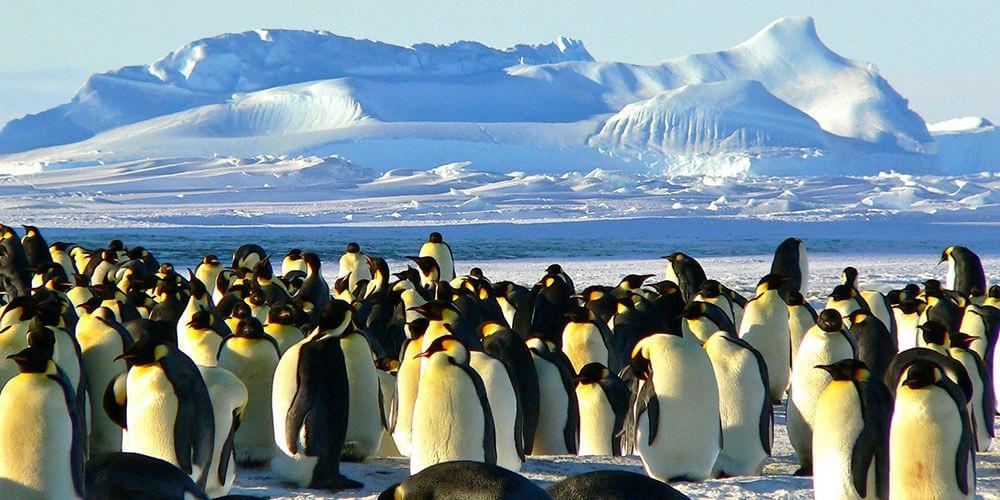 Outdoor Etkinlikler | Takım Ruhunu Güçlendiren Deneyimler