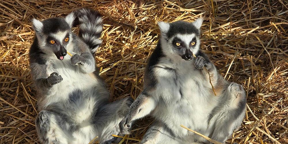 Rekreasyon Programları | Doğada Keşif ve Öğrenme Deneyimi