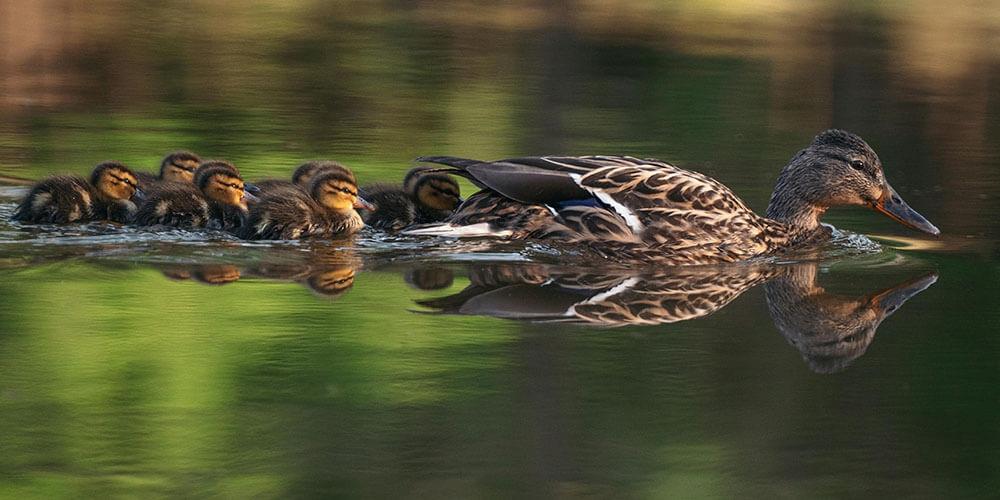 Outdoor Takım Gelişim Programları | Yöne-Team