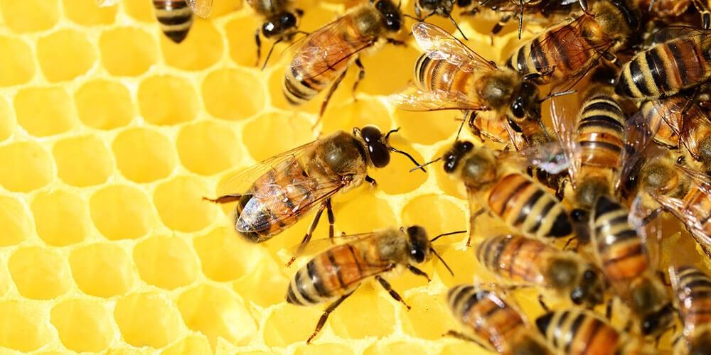 Indoor Takım Gelişim Programları | Yöne-Team