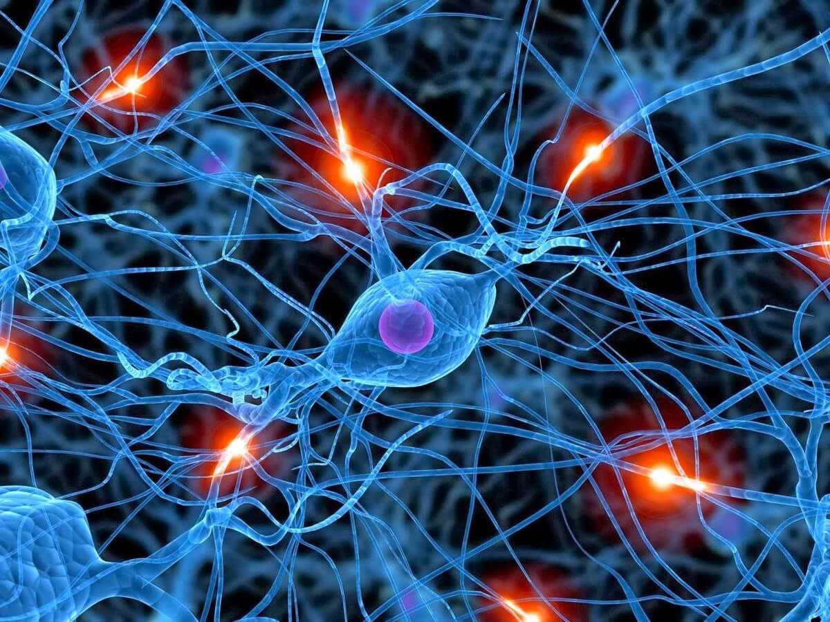 Nörobilim, Kavrayış ve Deneyimsel Öğrenme Arasındaki Bağlantı - Ian Cornett